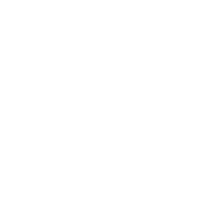 bullseye icon