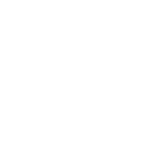 checklist icon
