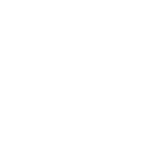 distribution icon