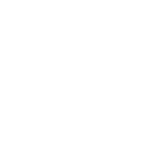 inventory management icon-w
