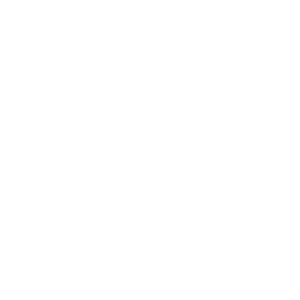 technician icon